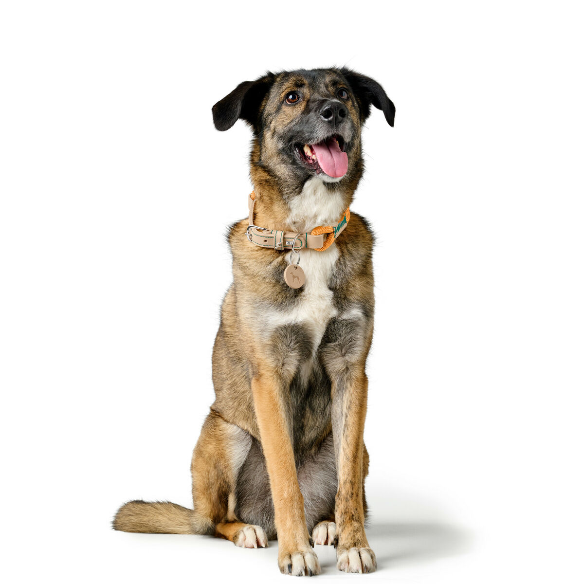 Collier pour Chien Hunter Malia Orange 12 40-49 cm
